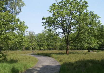Stadtpark Norderstedt